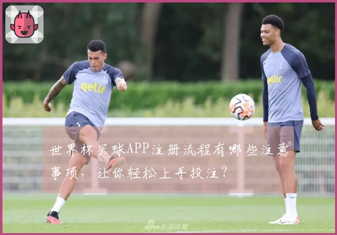 世界杯买球APP注册流程有哪些注意事项，让你轻松上手投注？