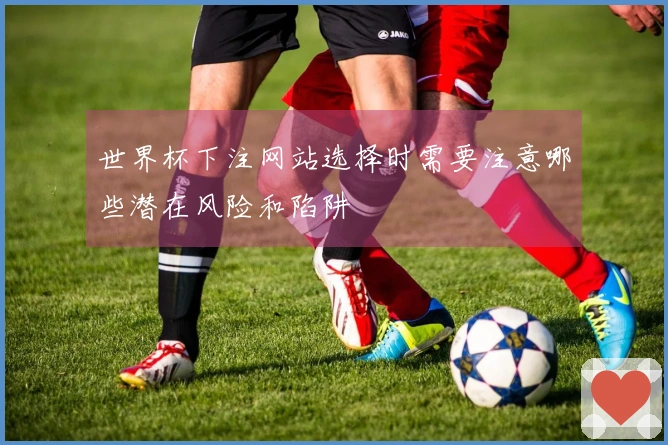 世界杯下注网站选择时需要注意哪些潜在风险和陷阱