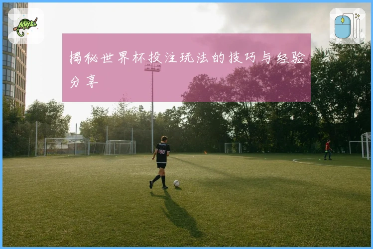 揭秘世界杯投注玩法的技巧与经验分享