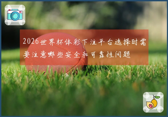 2026世界杯体彩下注平台选择时需要注意哪些安全和可靠性问题