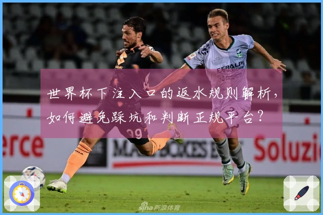世界杯下注入口的返水规则解析，如何避免踩坑和判断正规平台？